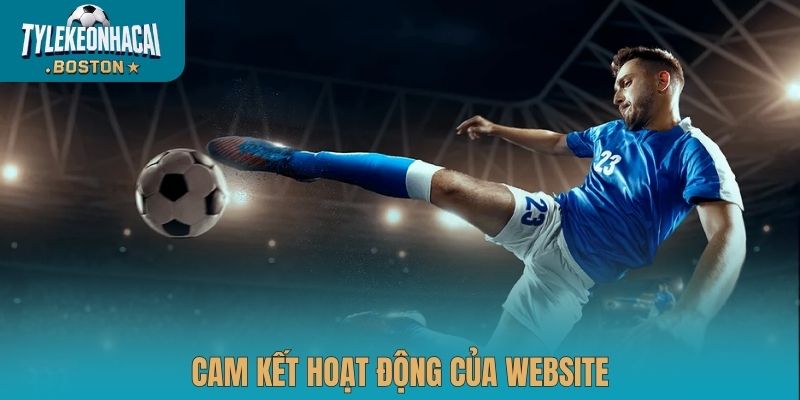 Cam kết hoạt động của website
