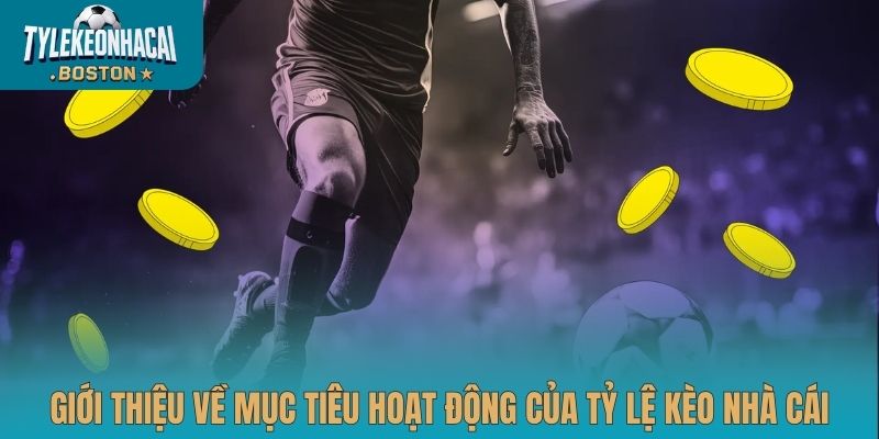 Giới thiệu về mục tiêu hoạt động của Tỷ lệ kèo nhà cái