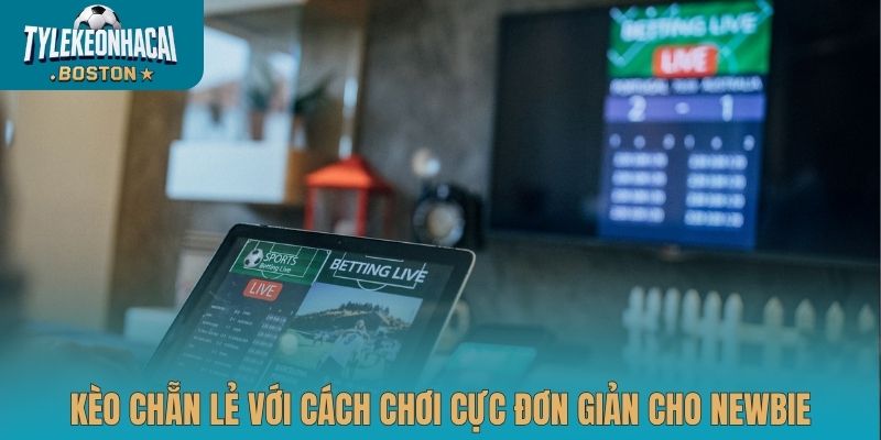 Kèo chẵn lẻ với cách chơi cực đơn giản cho newbie